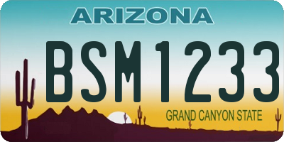 AZ license plate BSM1233