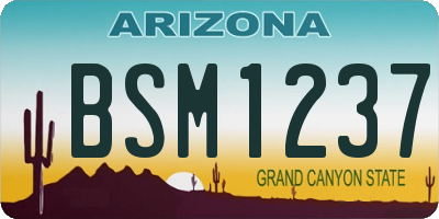 AZ license plate BSM1237