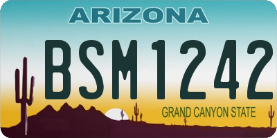 AZ license plate BSM1242