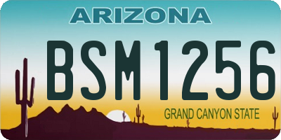 AZ license plate BSM1256