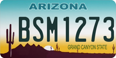 AZ license plate BSM1273