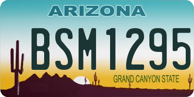 AZ license plate BSM1295