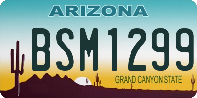 AZ license plate BSM1299