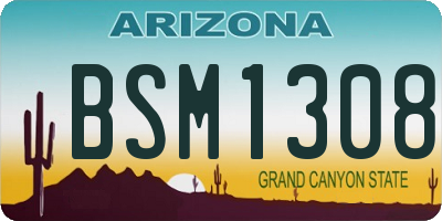 AZ license plate BSM1308