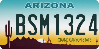 AZ license plate BSM1324