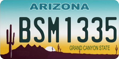 AZ license plate BSM1335