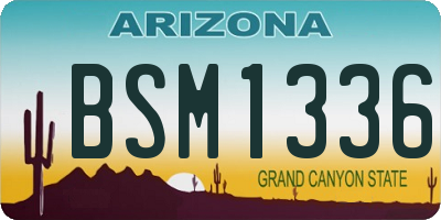 AZ license plate BSM1336