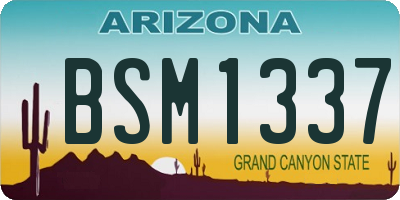 AZ license plate BSM1337