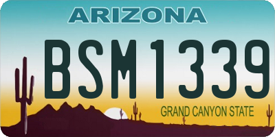 AZ license plate BSM1339