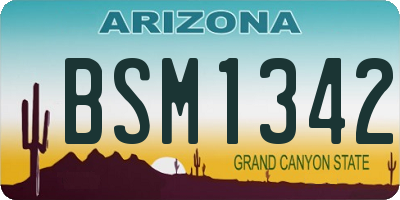 AZ license plate BSM1342