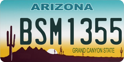 AZ license plate BSM1355