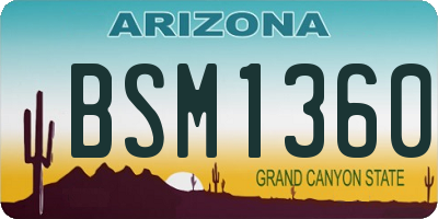 AZ license plate BSM1360