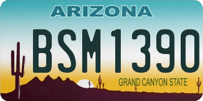 AZ license plate BSM1390