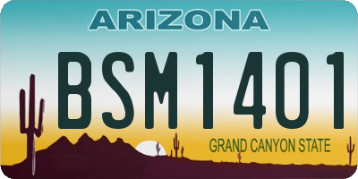 AZ license plate BSM1401