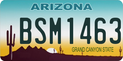AZ license plate BSM1463