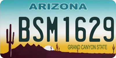 AZ license plate BSM1629