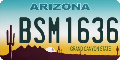 AZ license plate BSM1636