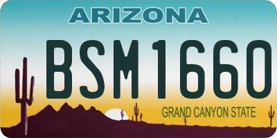 AZ license plate BSM1660