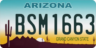 AZ license plate BSM1663