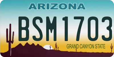 AZ license plate BSM1703