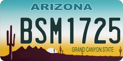 AZ license plate BSM1725