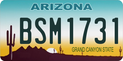 AZ license plate BSM1731