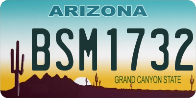 AZ license plate BSM1732