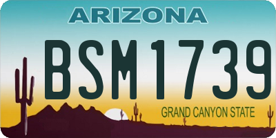 AZ license plate BSM1739