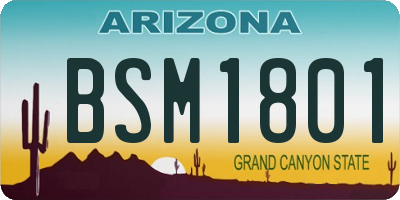 AZ license plate BSM1801