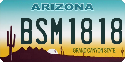 AZ license plate BSM1818