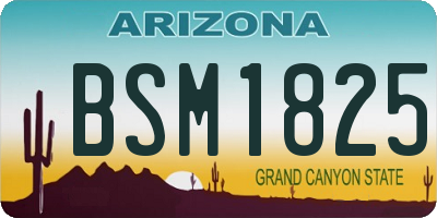 AZ license plate BSM1825