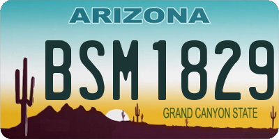 AZ license plate BSM1829