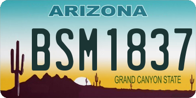 AZ license plate BSM1837
