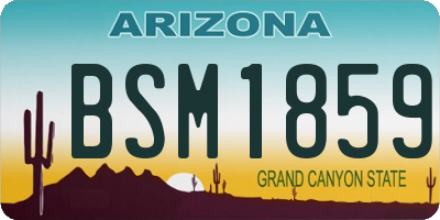 AZ license plate BSM1859