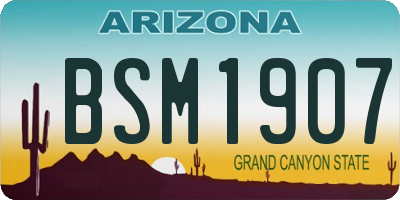 AZ license plate BSM1907