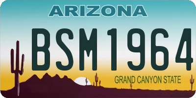 AZ license plate BSM1964