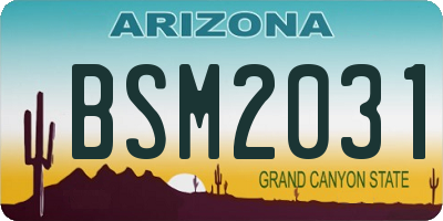 AZ license plate BSM2031