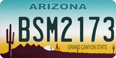 AZ license plate BSM2173