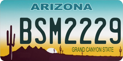 AZ license plate BSM2229