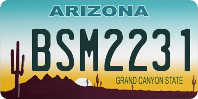 AZ license plate BSM2231