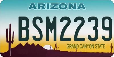 AZ license plate BSM2239