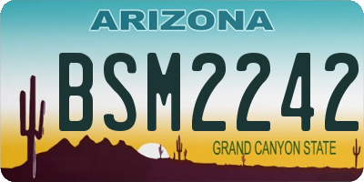 AZ license plate BSM2242