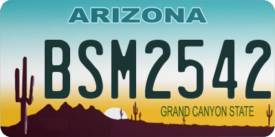 AZ license plate BSM2542