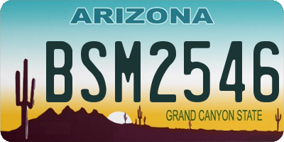 AZ license plate BSM2546
