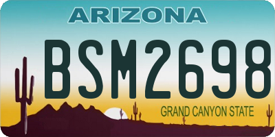 AZ license plate BSM2698
