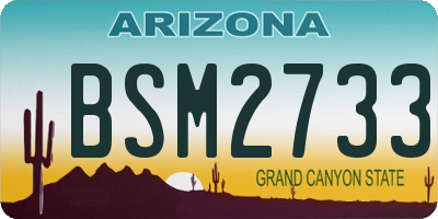 AZ license plate BSM2733