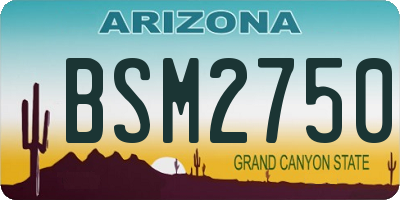 AZ license plate BSM2750