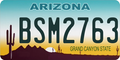 AZ license plate BSM2763