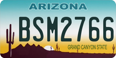 AZ license plate BSM2766