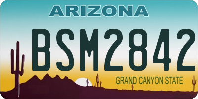 AZ license plate BSM2842